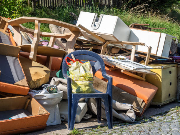 Best Same-Day Junk Removal  in Brownlee Park, MI
