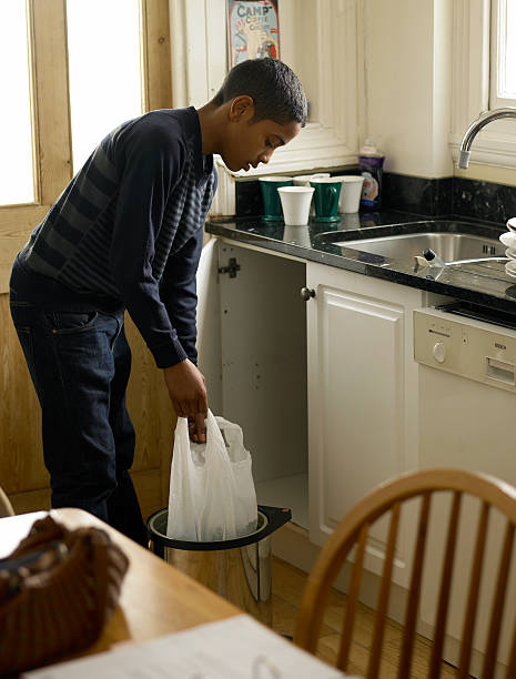 Best Trash Removal Near Me  in Brownlee Park, MI